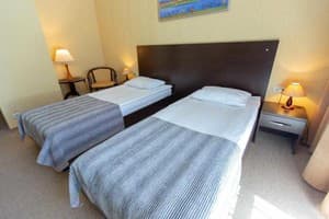 Аполлония 22