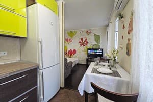 Ботаник. Alex Apartments (бесконтактное поселение 24/7) 27