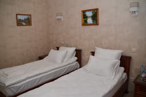 Отель Центральный. Классический номер с двумя раздельными кроватями (Classic room- Twin) 3