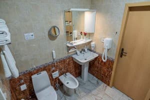 Отель Премьер отель Палаццо. Люкс двухместный  8