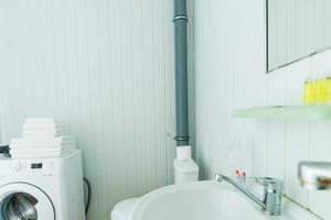 Яскраві квіти. Alex Apartments. Безконтактне заселення 24/7 24